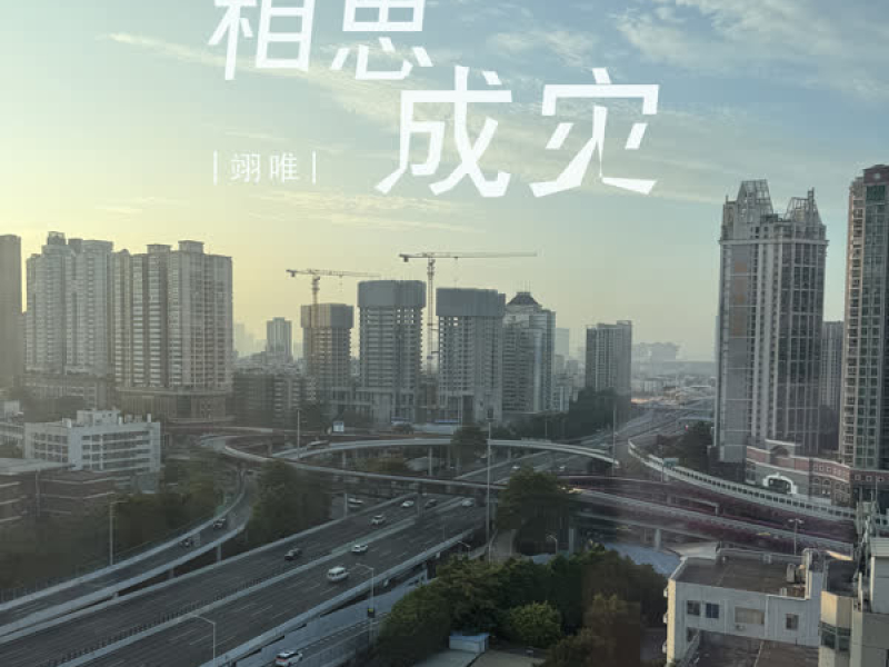 相思成灾 (Single)