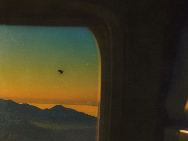 Psycho Cycle (Single)