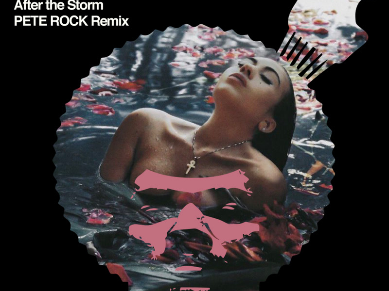 After The Storm (Pete Rock Remix) (Single)