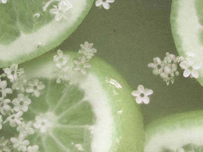 elderflower lemonade (Single)