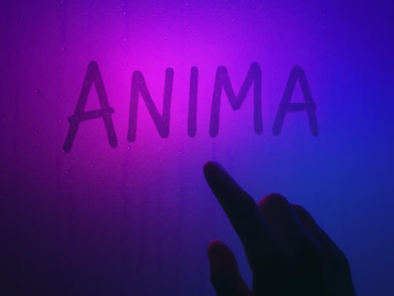 Anima (Single)