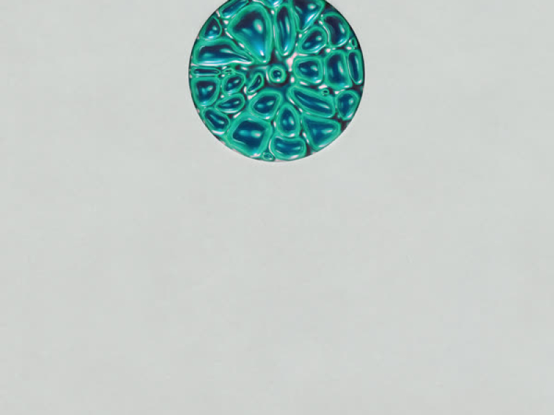 The Show (Steve Aoki & Lucas & Steve Remix) (Single)