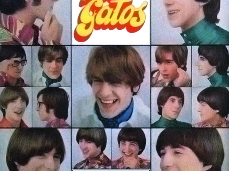 Viento Dile a la Lluvia