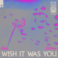 Wish It Was You (Axis Remix) (Single)