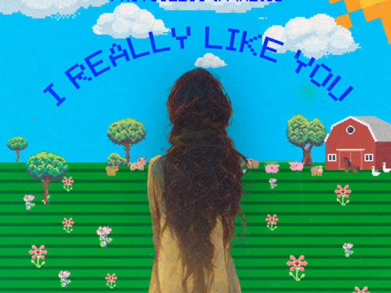 I Really Like You (Single)
