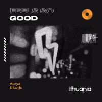 Feel so Good (Single)