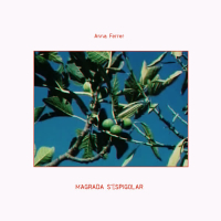 M'agrada s'espigolar (Single)