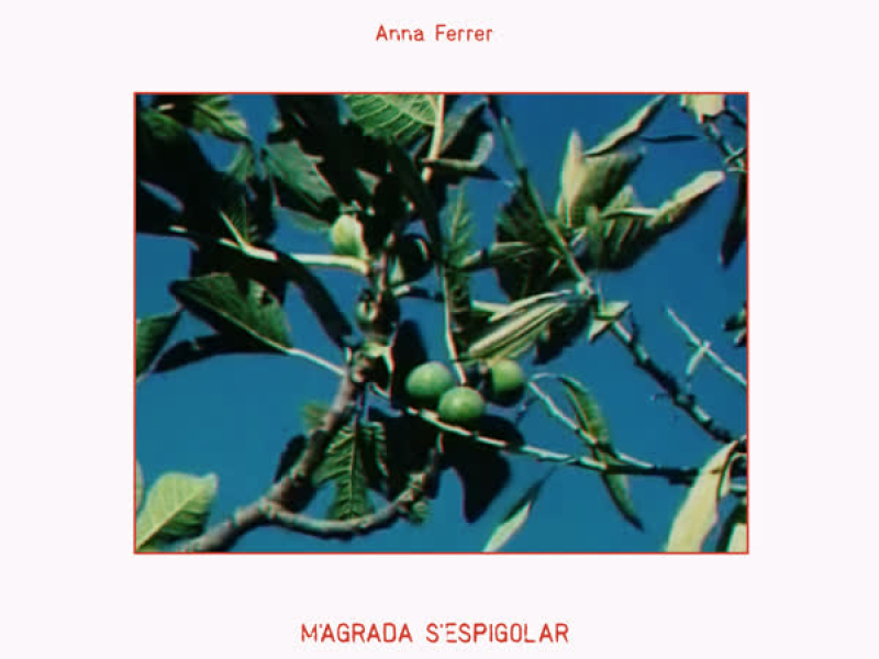 M'agrada s'espigolar (Single)