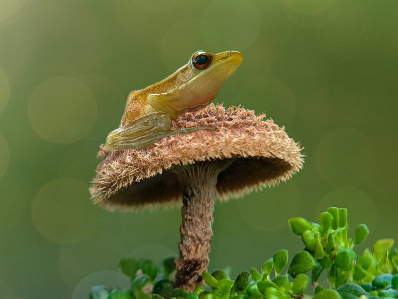 Down up where (Single)