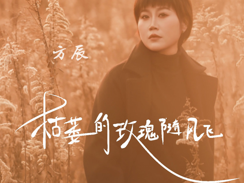 枯萎的玫瑰随风飞 (Single)