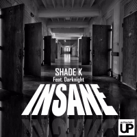 Insane (Single)