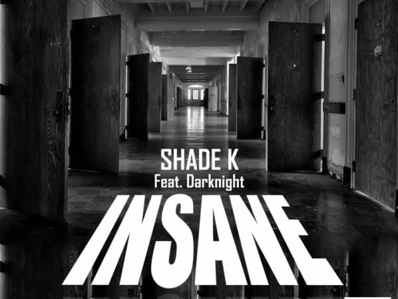 Insane (Single)