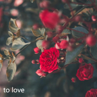 to love (Single)