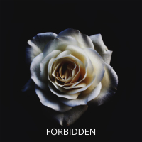 Forbidden (Single)