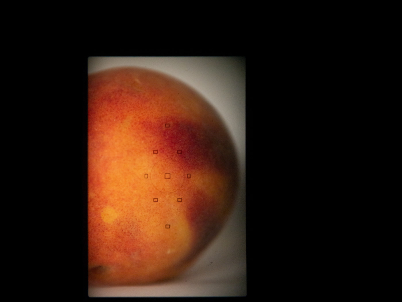 Hvert sem er (Single)