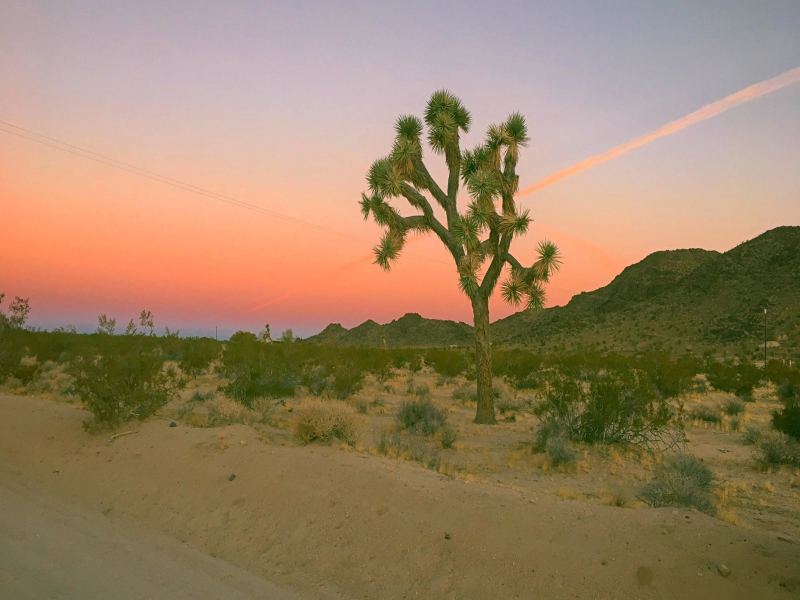 Varied Themes (Single)