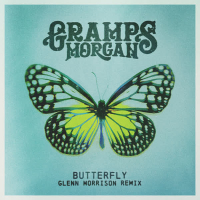 Butterfly (Glenn Morrison Remix) (EP)