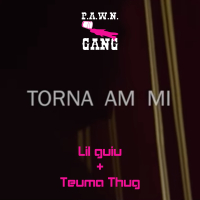 Torna Am Mi (Single)
