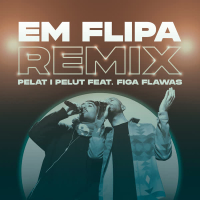 Em Flipa (VTS Remix) (Single)
