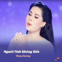 Người Tình Không Đến (Single)