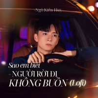 Sao Em Biết Người Rời Đi Không Buồn (Lofi) (Single)