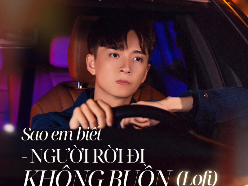 Sao Em Biết Người Rời Đi Không Buồn (Lofi) (Single)