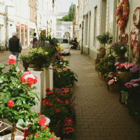 City Lights (Single)