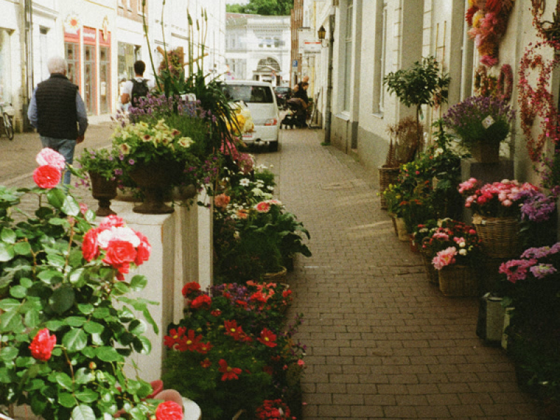 City Lights (Single)