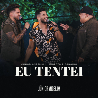 Eu Tentei (Ao Vivo) (Single)