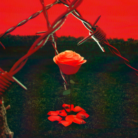 Quererte Mal (Single)