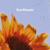 Sunflower (Single)