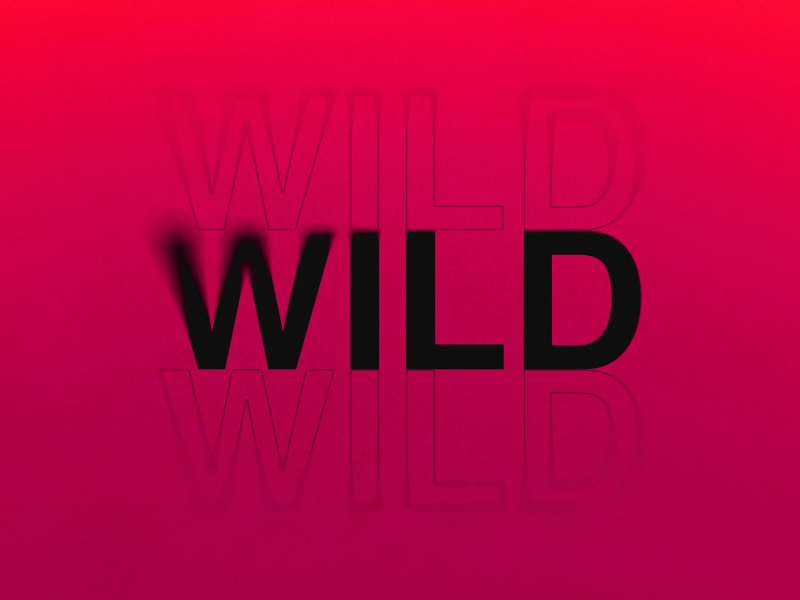 Wild (Single)