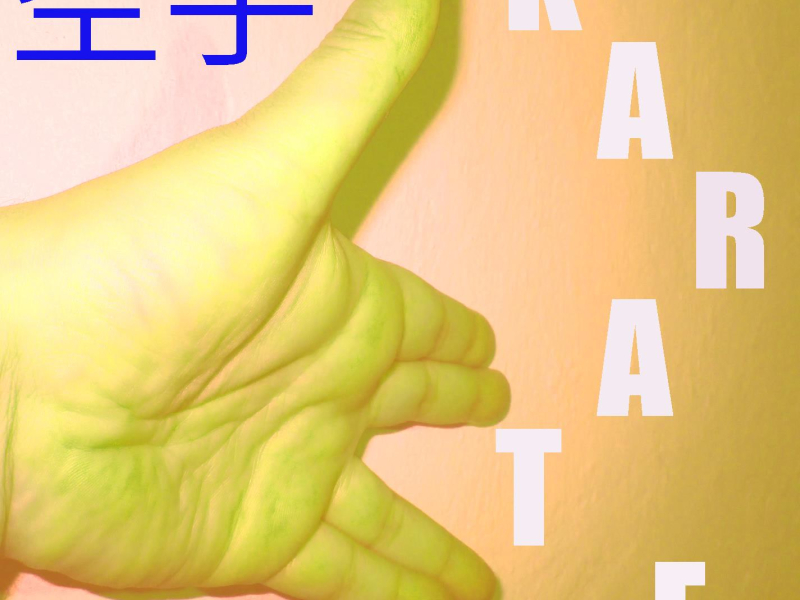 Musique pour Karaté Vol. 6 (Single)