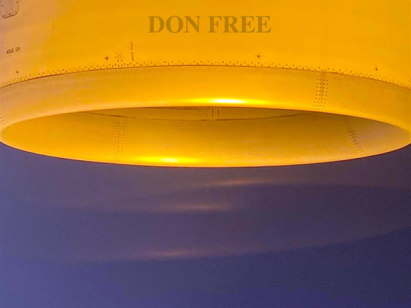 DON FREE (Single)