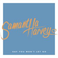 Say You Won't Let Go (Single)