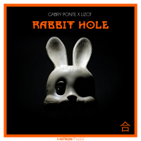 Rabbit Hole (Single)