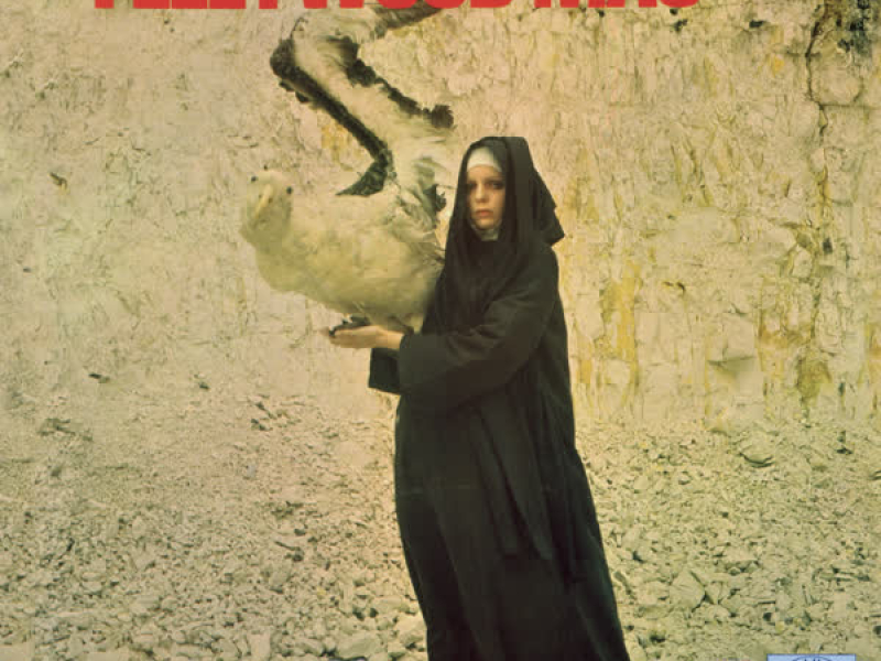 The Pious Bird Of Good Omen