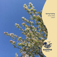 Spring Feeling (Single)