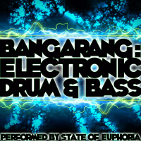 Bangarang: Electronic Drum & Bass