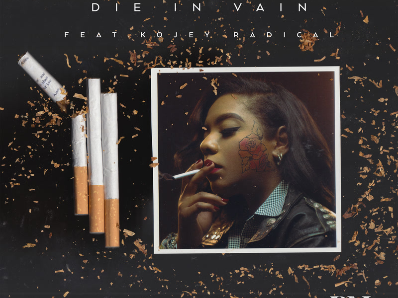 Die In Vain (Radio Edit) (Single)