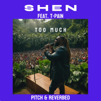 Too Much (feat. T-Pain) (Pitch & Reverbed) (Single)