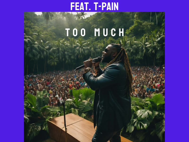 Too Much (feat. T-Pain) (Pitch & Reverbed) (Single)