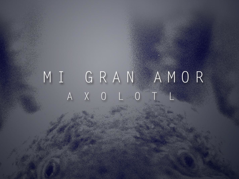 Mi gran amor (Axolotl) (Single)