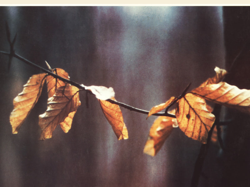 Chopin: Piano Concerto No. 2; Solo Works. Rachmaninoff: 6 Etudes-tableaux, Op. 33