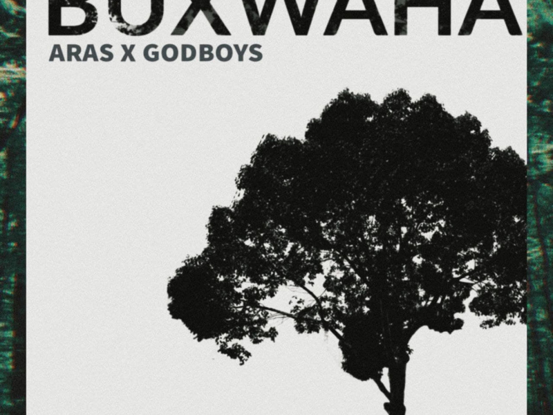 Buxwaha (Single)