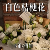 白色桔梗花 (Single)