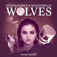 Wolves (Sneek Remix) (Single)