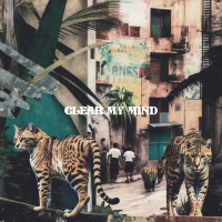 Clear My Mind (Single)
