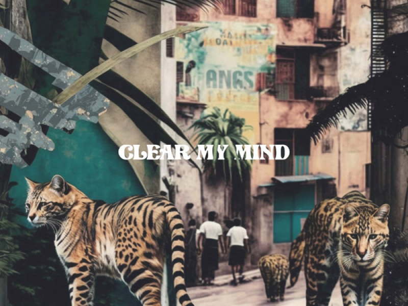 Clear My Mind (Single)