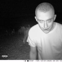 Kto Sa Boji Nesmie Do Lesa